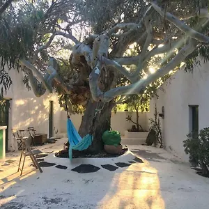 https://patio-ii-studio-at-finca.in-canary-islands.com